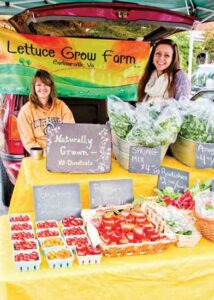 How to Sell at a Farmers Market Image